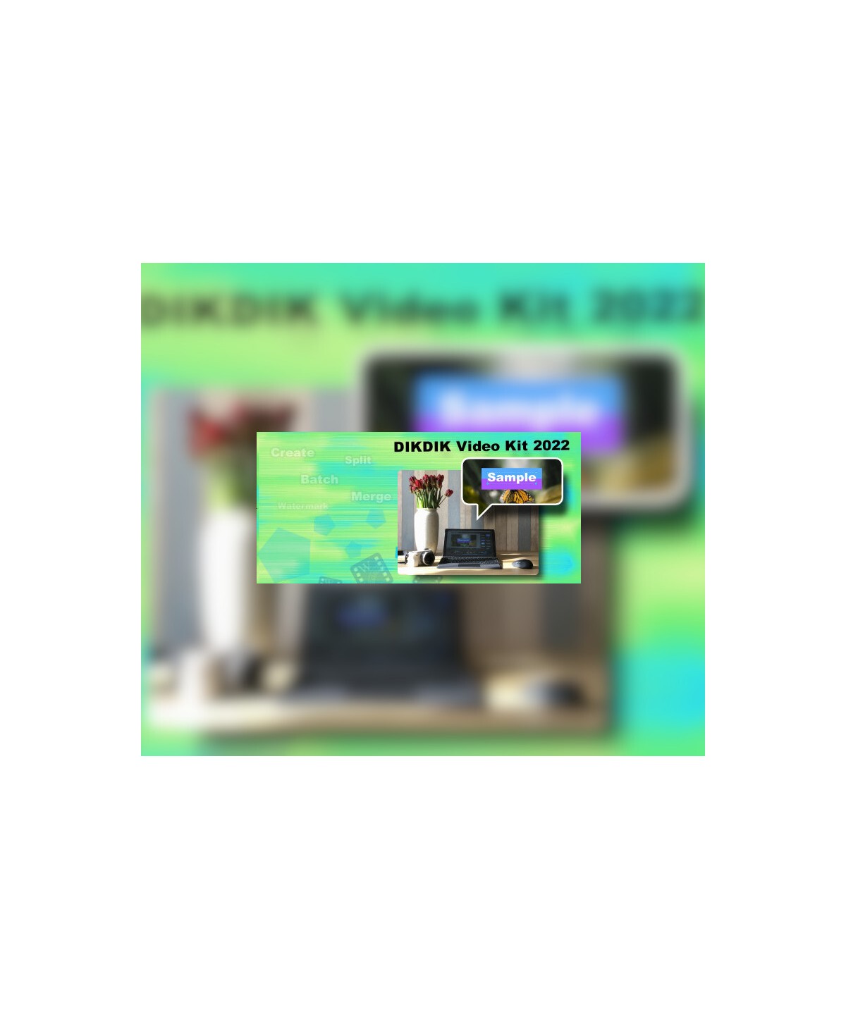 DIKDIK Video Kit 2022 Steam Key GLOBAL